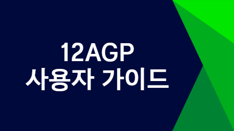 12AGP 사용자 가이드(HYUNDAI)